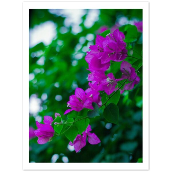 110a706c-2a03-4151-a080-f1ce5b223abc