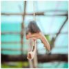 17e24e5b-f9ff-47a6-8cb6-e9747dd189a8