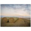 269ebc26-1712-4db0-9319-6ebc9de553a0