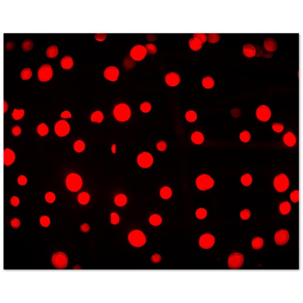 3037719c-bdaa-44f1-821d-07f47afe6c24