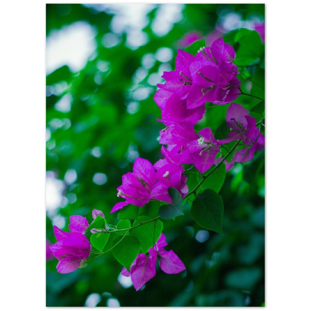 4481985d-ef8b-4771-b1d8-f22d2b37e89a