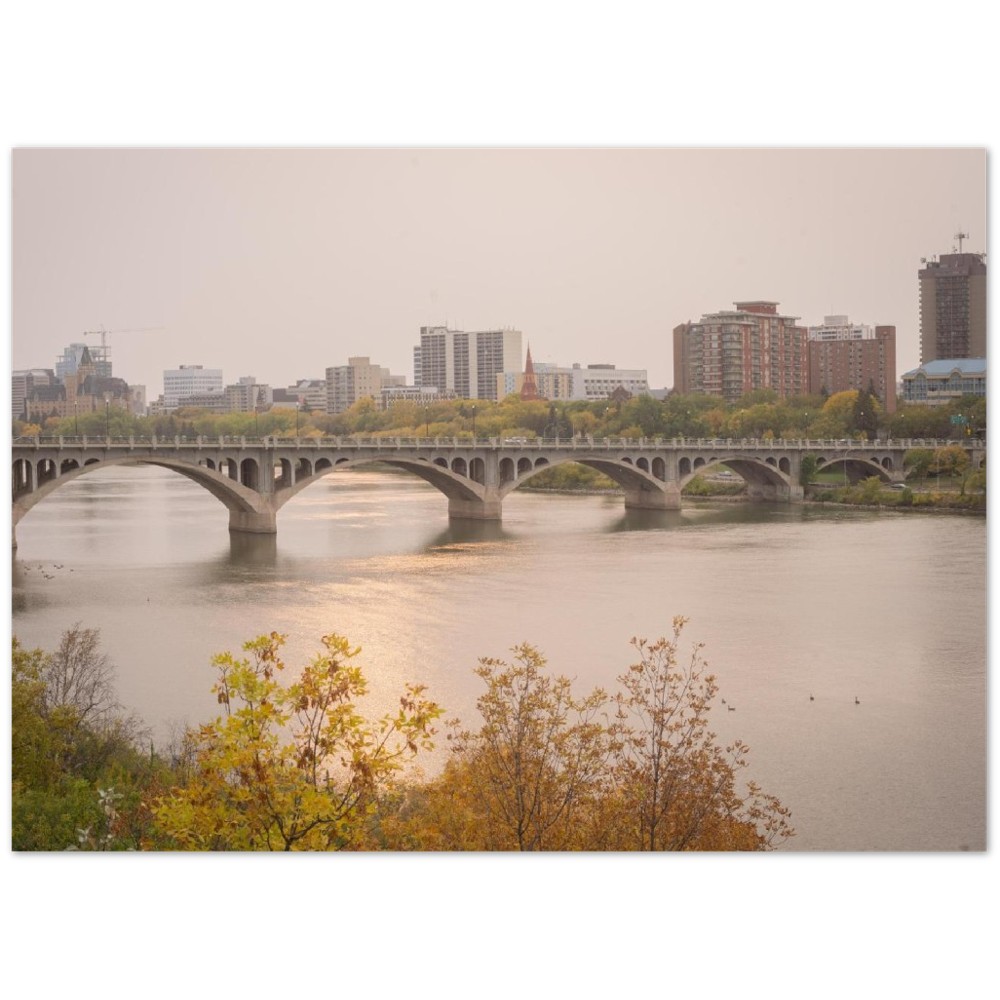 48c1c443-35db-423b-90c7-c5280fa78136