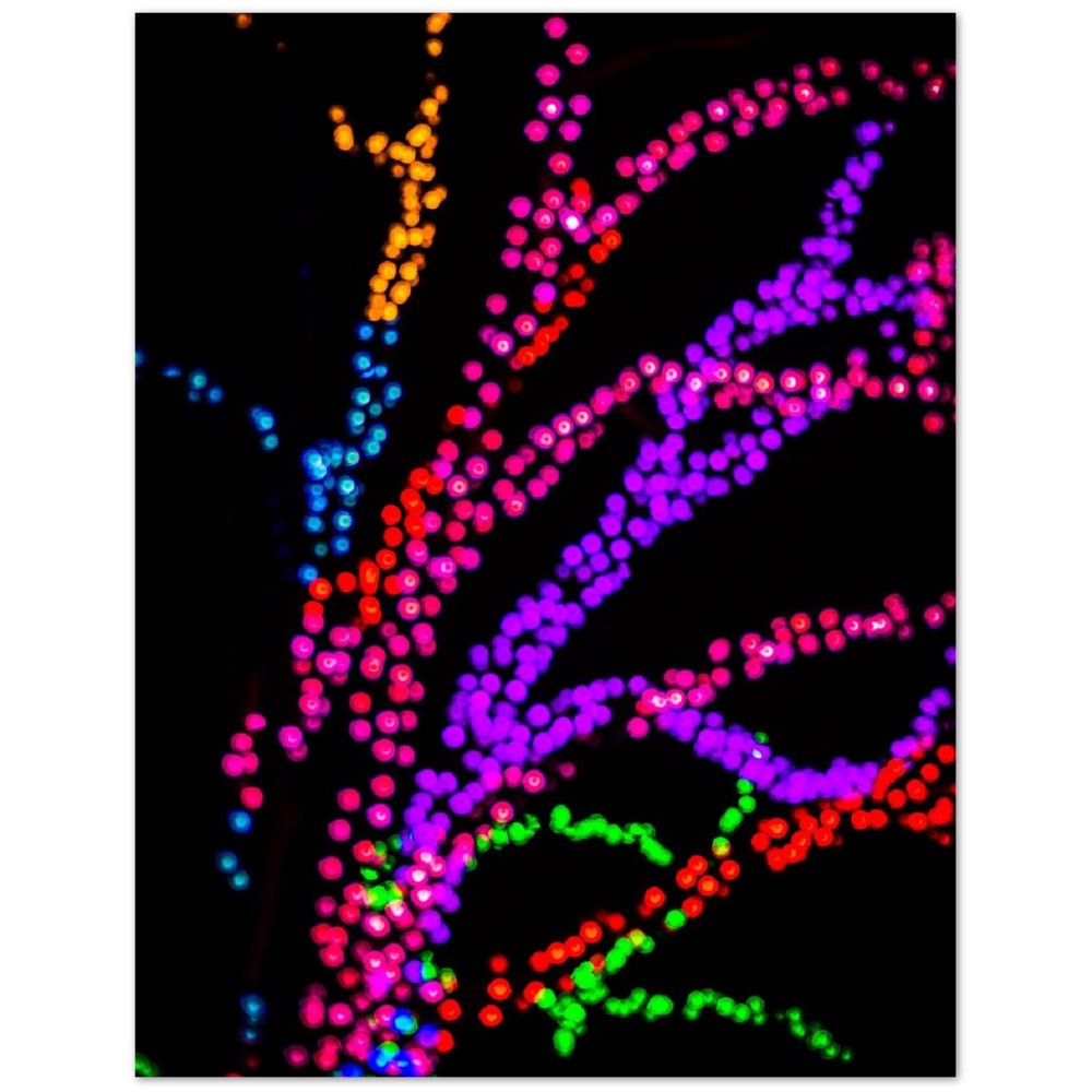5543b5b2-c543-4d1a-8ba5-9f58565ac2b7