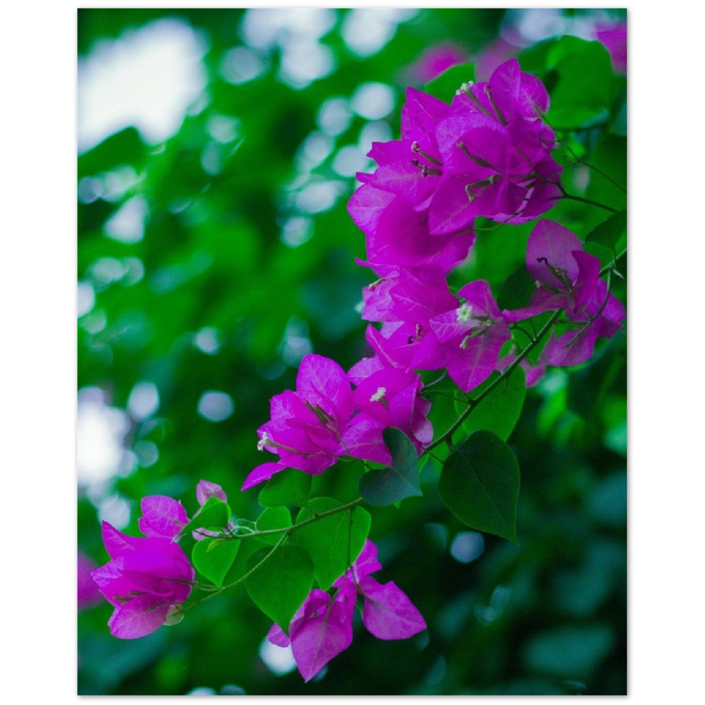 63d775cd-4dde-426f-9360-dbaf2d608007