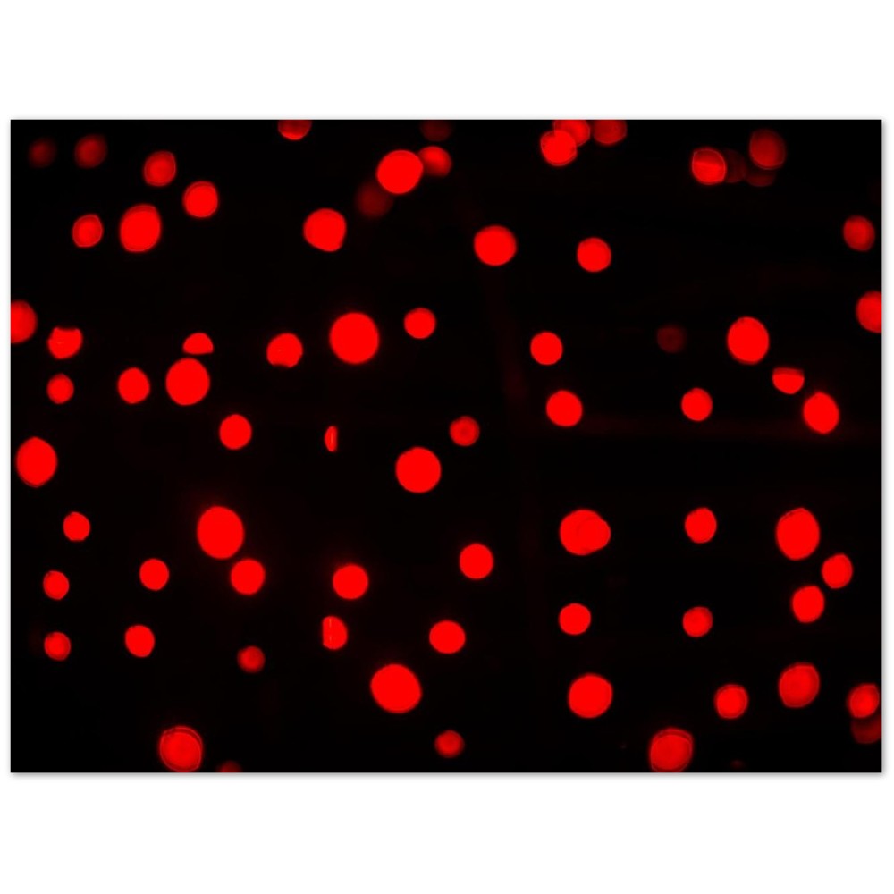 658ecd99-1b2c-4a37-bb29-774efd9fbdf5