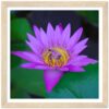 6f5d643e-16bd-4fb4-afeb-8f9fa2d310e6