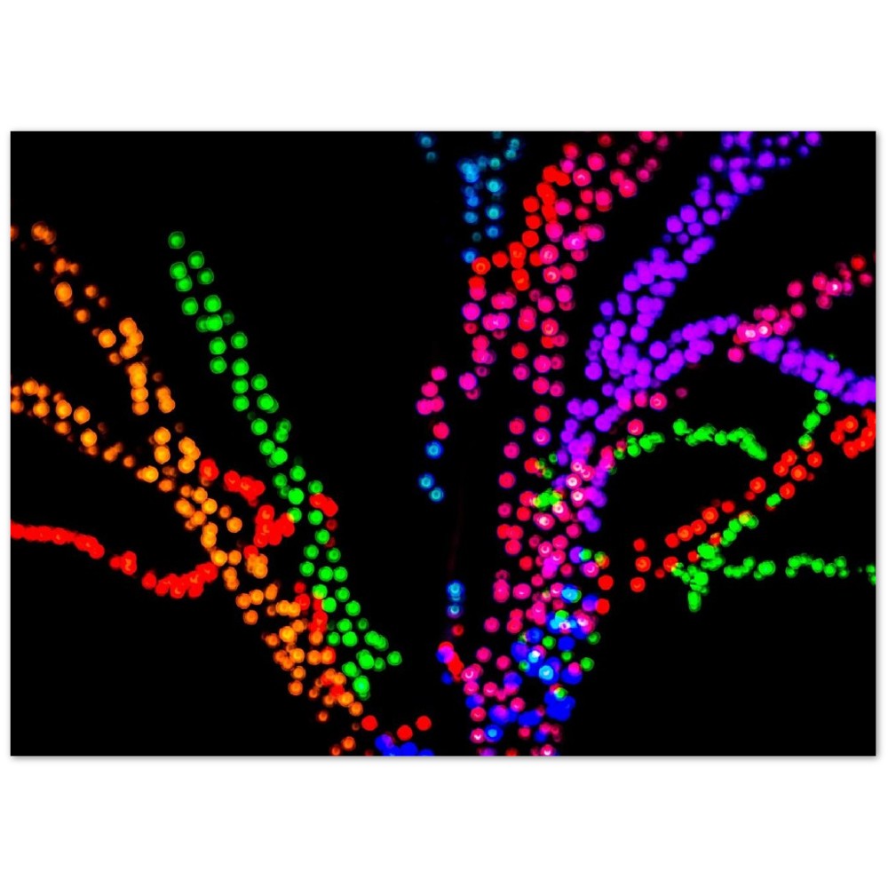 8ff5e0d2-fc93-4ff4-bf5f-91ced665a0ca