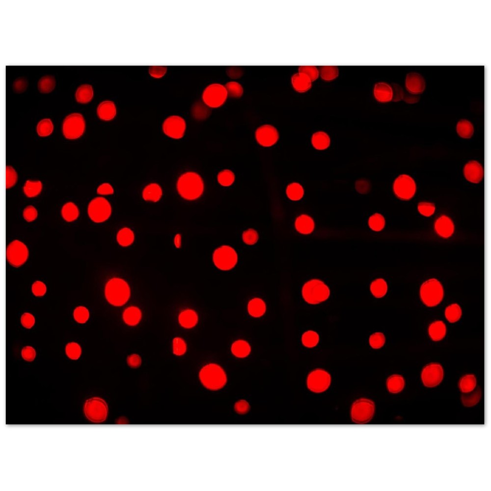 b39ae4f3-c936-4aaf-80de-8d7a23dd2cf7