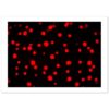 b498c913-ef18-41ac-ad09-081a03d9693c