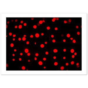 b498c913-ef18-41ac-ad09-081a03d9693c