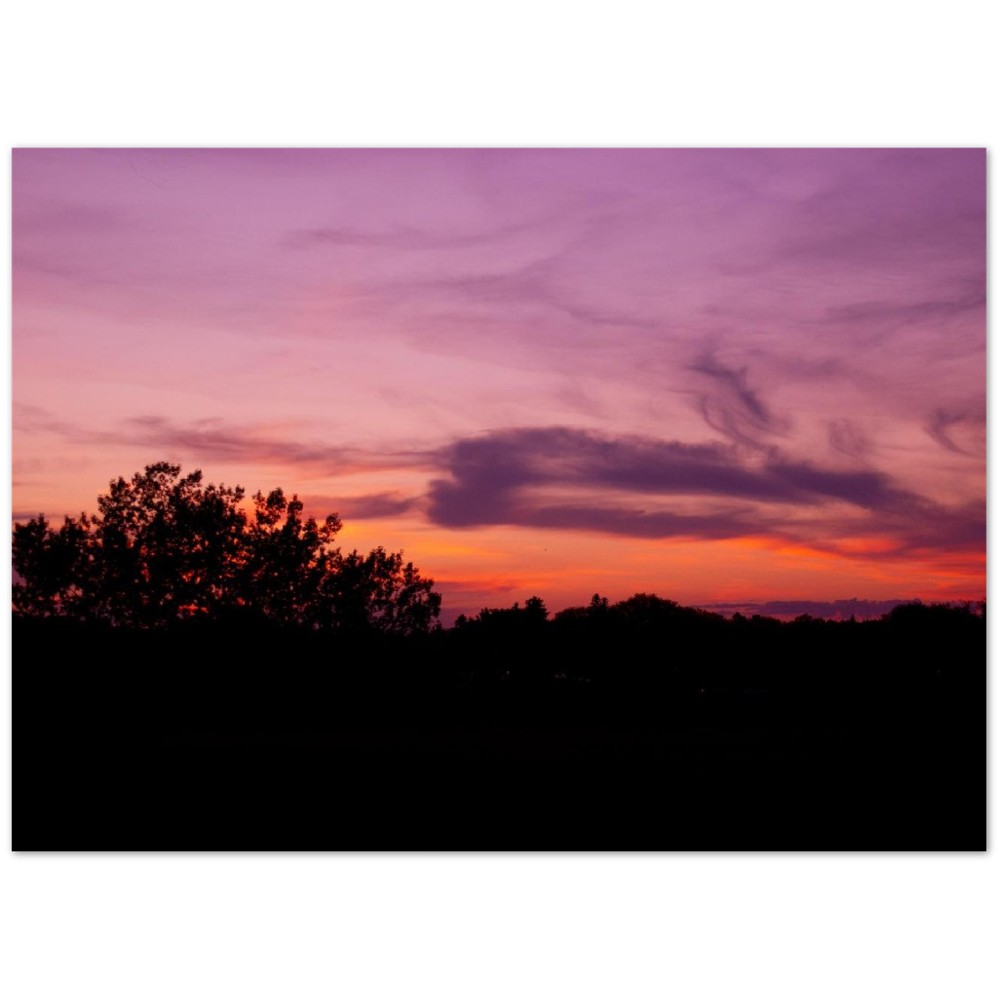 ccdb1b72-81c5-4295-ba37-30829928e235