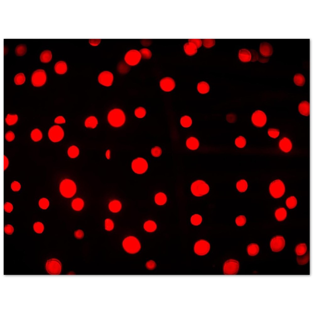dff5a4a7-ea09-4bdf-afd7-f6cc3952e249