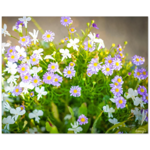 e605ffcb-fd72-4a56-bc6a-c186c78c1bf7