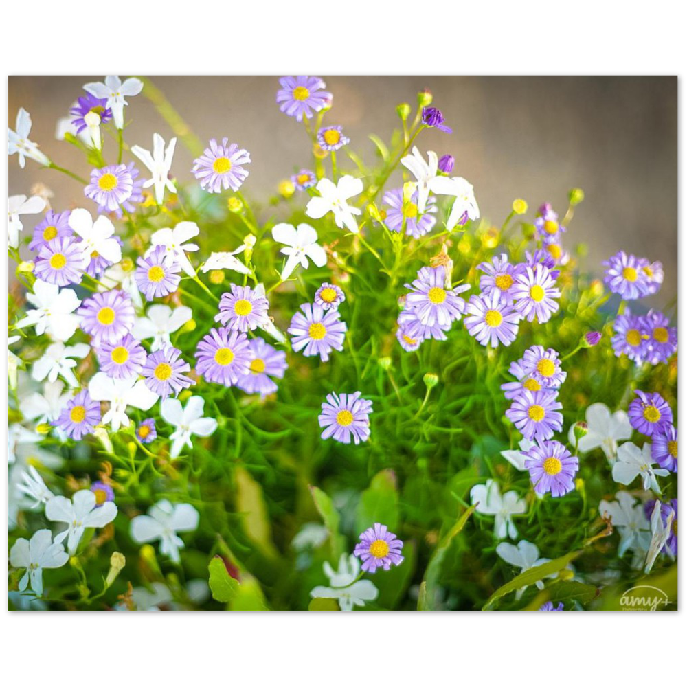 e605ffcb-fd72-4a56-bc6a-c186c78c1bf7