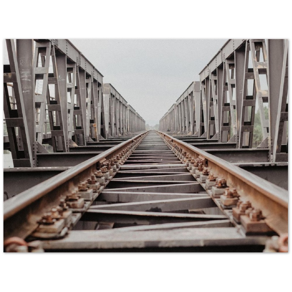 f51c8e51-c3b8-40c6-bf9c-d94c932aa6d7